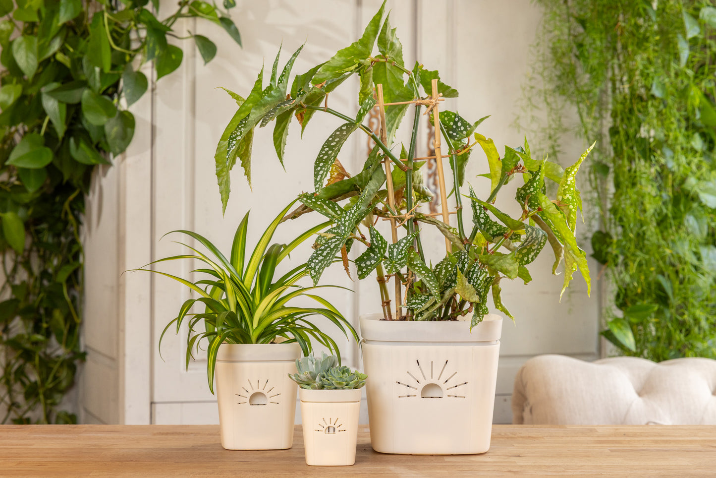 Planter Sampler Kit (DEMO)