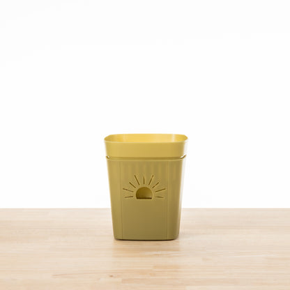 [SKU:5-1PK-Forest-Fern,5-4PK-Forest-Fern,5-12PK-Forest-Fern]