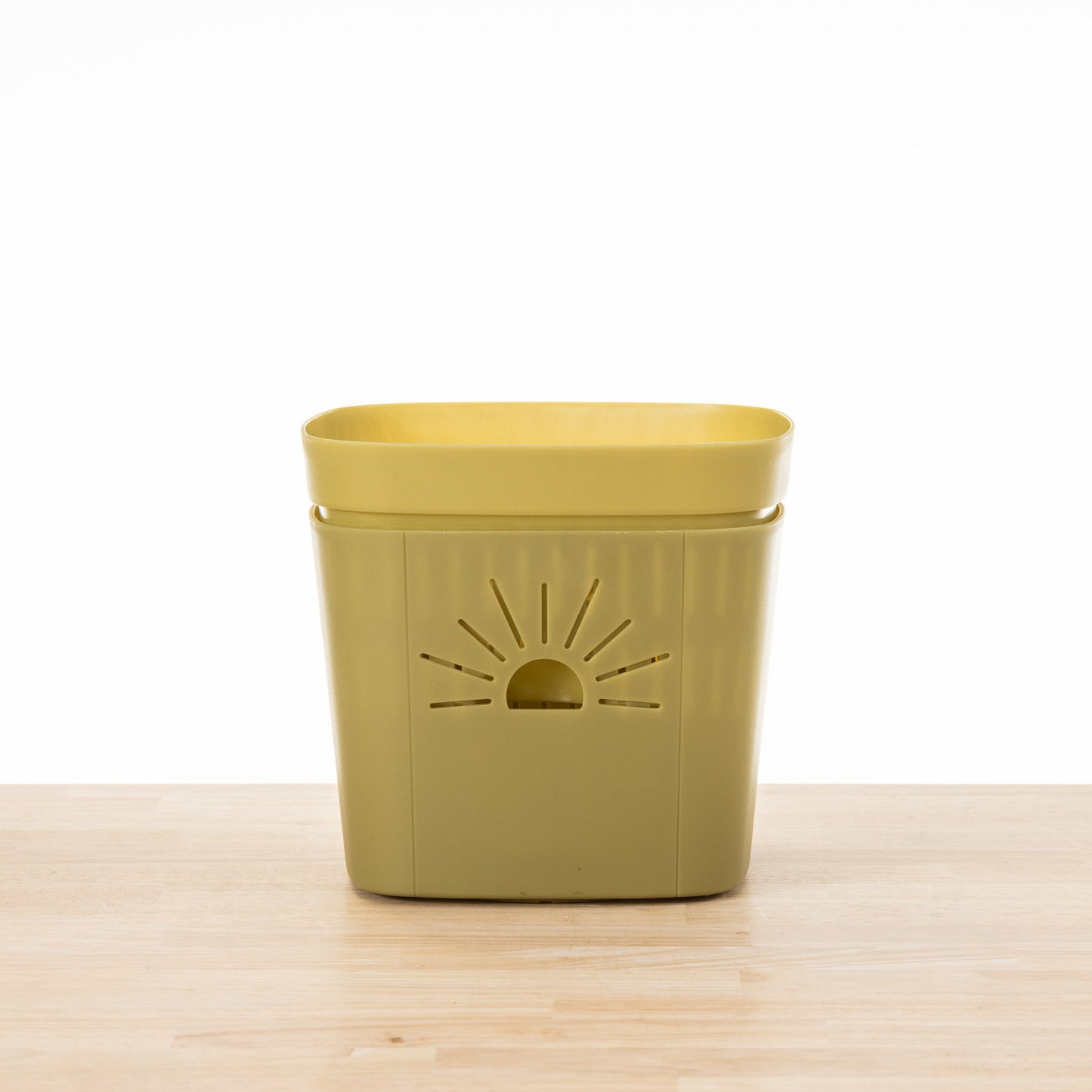 [SKU:8-1PK-Forest-Fern,8-4PK-Forest-Fern,8-8PK-Forest-Fern,8-12PK-Forest-Fern]