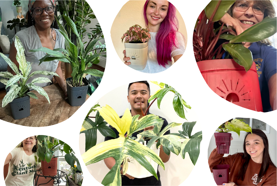 Happy Naked Root customers with their plants