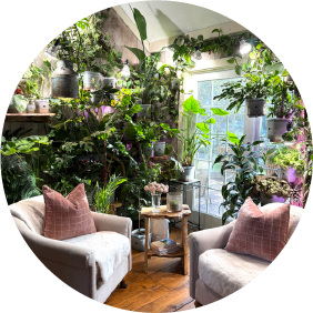 A plant-filled living room with Naked Root planters