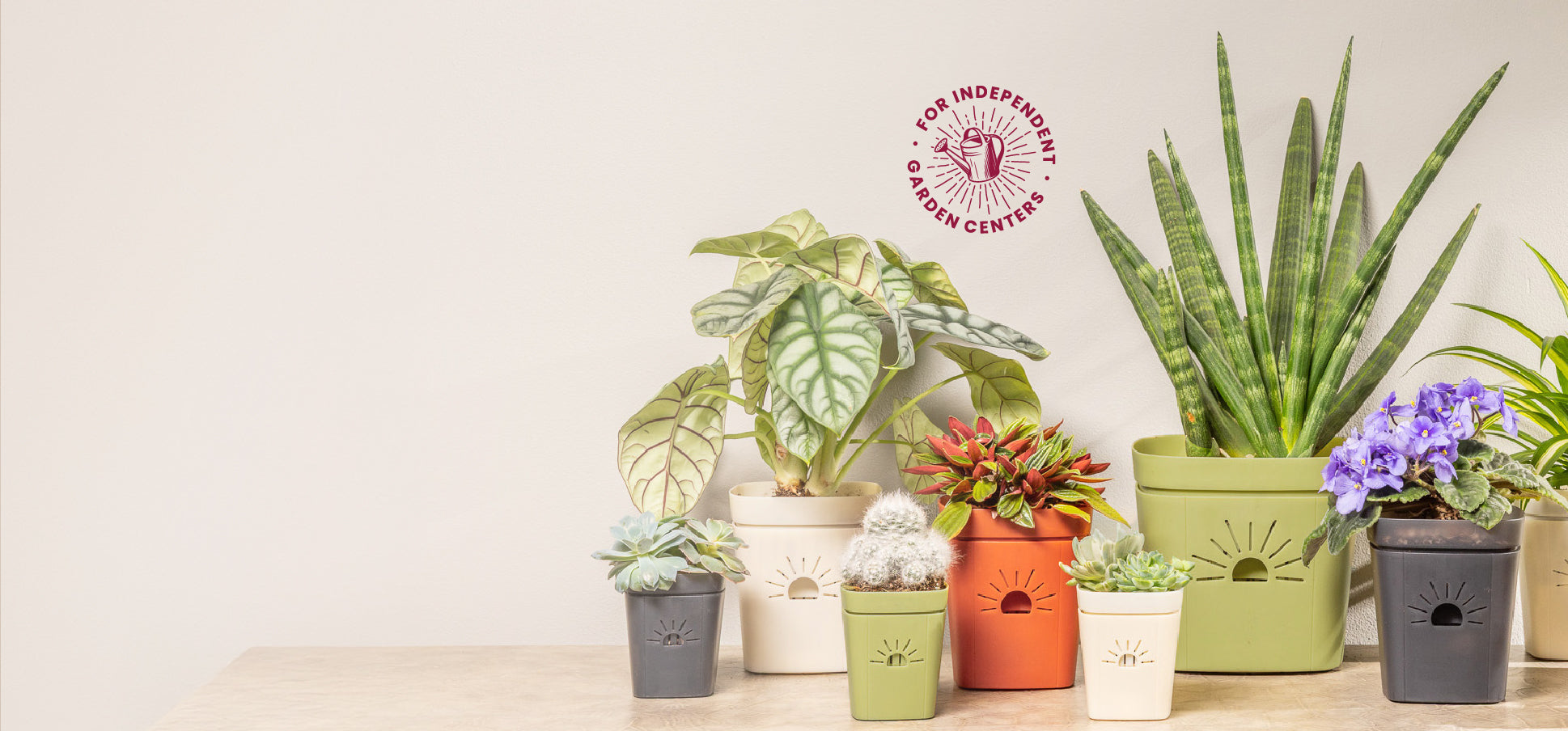 Assorted Naked Root self-aerating planters with houseplants, for independent garden centers