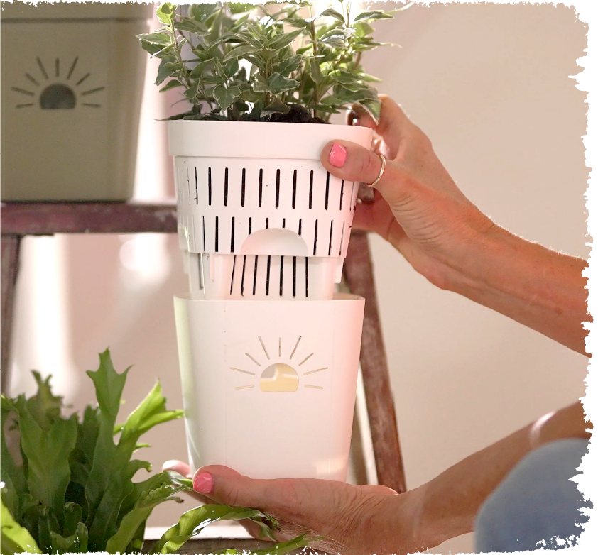 Hands separating a Naked Root two-part planter